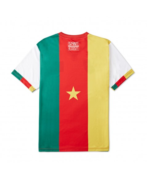 V-Neck Cameroon Flag T-Shirt